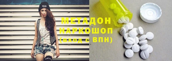 прущие грибы Абинск