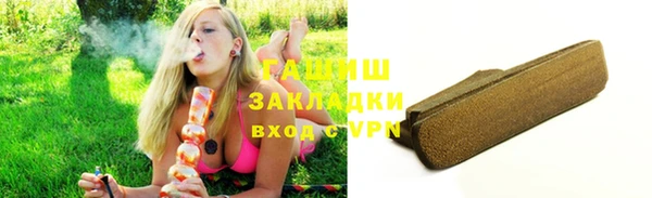прущие грибы Абинск