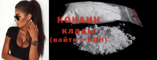 прущие грибы Абинск