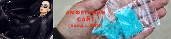 прущие грибы Абинск