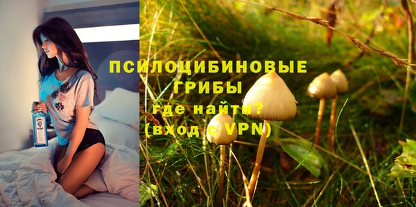 гидра Абдулино
