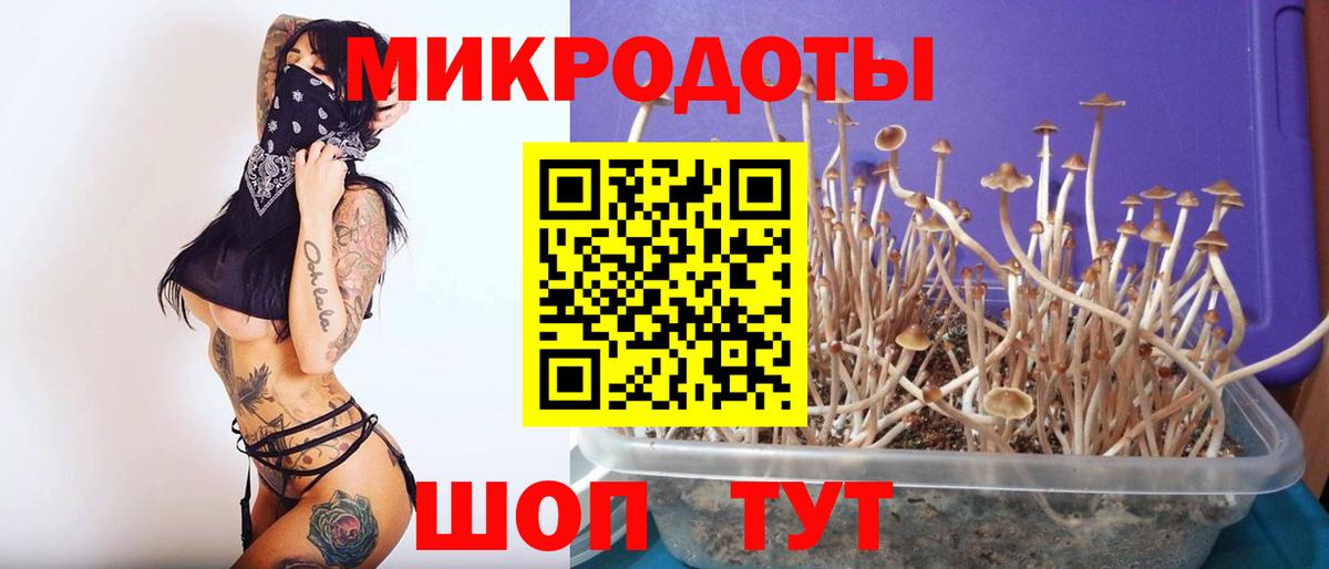 Ивантеевка  Галлюциногенные грибы Psilocybine cubensis  Вход с VPN 
